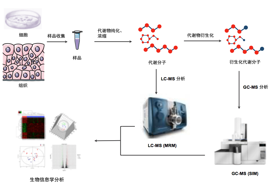 百泰派克公司推出非靶向性代谢组学一站式分析服务，包括样品准备、质谱分析、质谱原始数据分析、生物信息学分析。