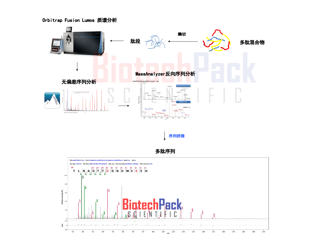 多肽测序示意图