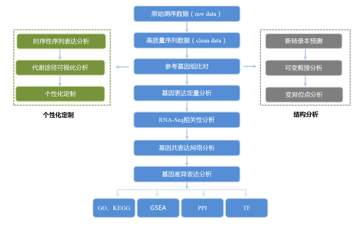 转录组测序分析流程