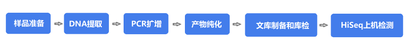 扩增子测序实验流程