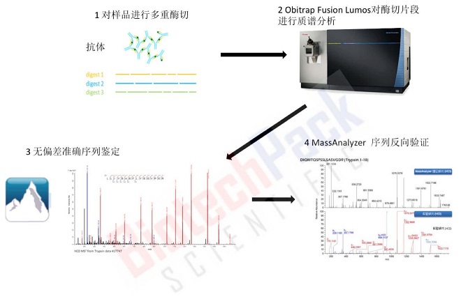 单克隆抗体从头测序